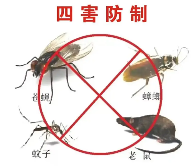 床墊易滋生吸血臭蟲，怎樣預(yù)防呢？