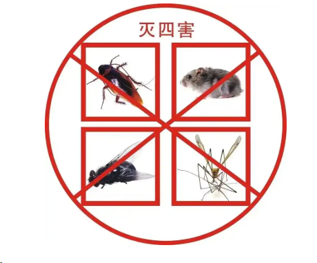 重慶企業(yè)消殺除四害服務(wù)